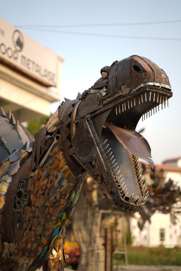 Maximus – The Scrap Raptor - Image 2